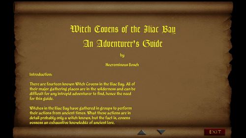 An Adventurer's Guide to Witch Covens